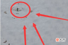 部落与弯刀追风坐标攻略