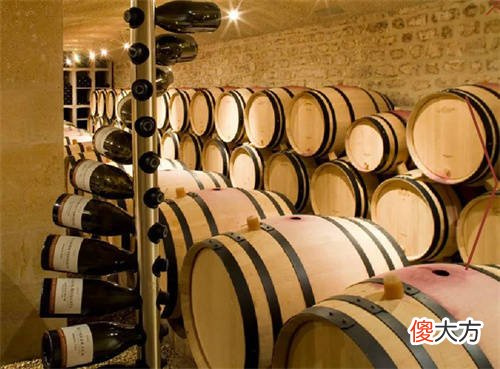 绿葡萄酒是什么酒 红葡萄酒就是红酒吗
