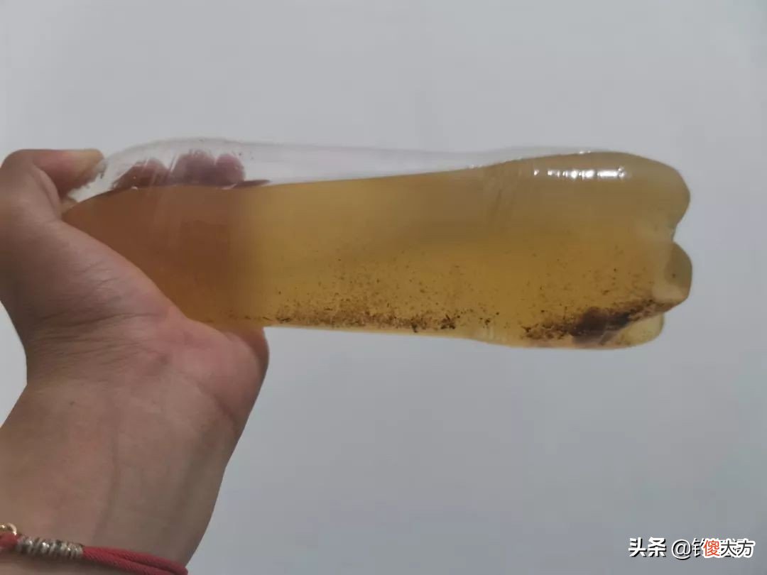带你了解阿魏 阿魏百度百科