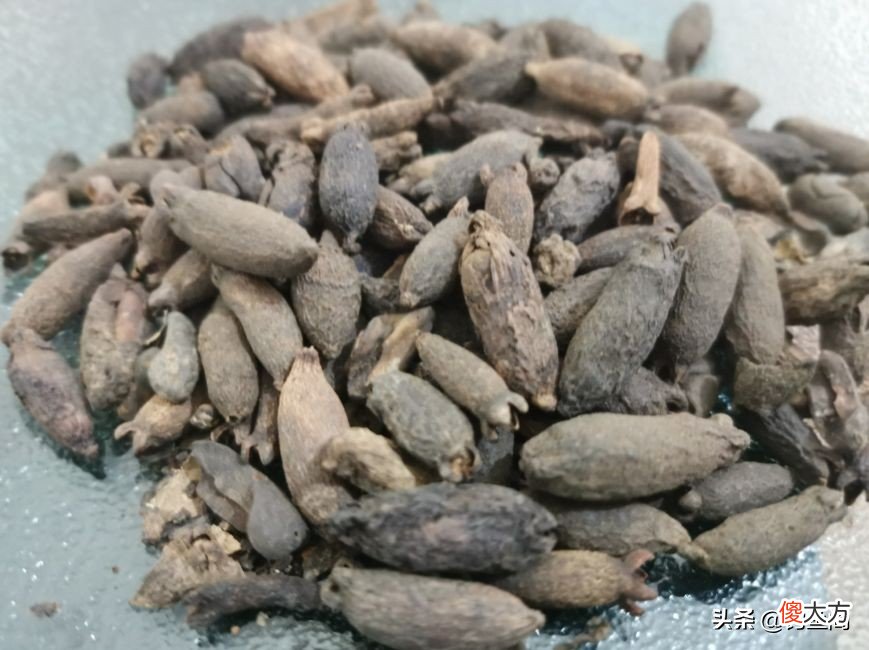 它是最常见的钓鱼香料 香料钓鱼配方大全
