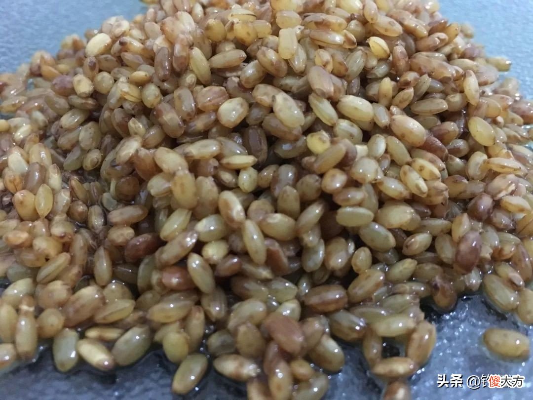 它是最常见的钓鱼香料 香料钓鱼配方大全