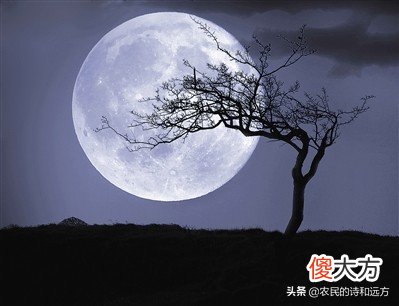 婵娟又是指的什么 婵娟是指什么?