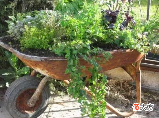硼砂除了清洁还有什么用 硼砂的清洁作用