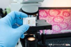 电子显微镜为什么必须在真空下运行 电子显微镜为什么要保持真空