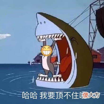 小米用这1999元的手机 小米1999元什么手机