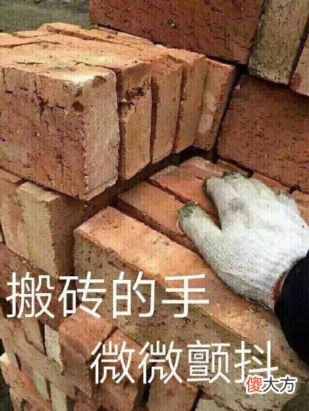 小米用这1999元的手机 小米1999元什么手机
