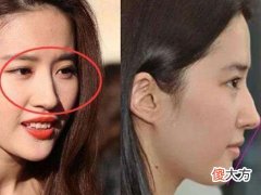 面相中什么样的鼻子最有福气