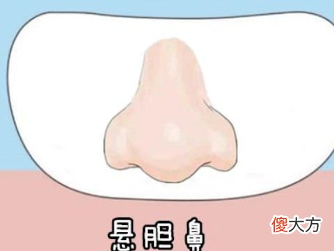从鼻子看一生的财运和事业运变化特点