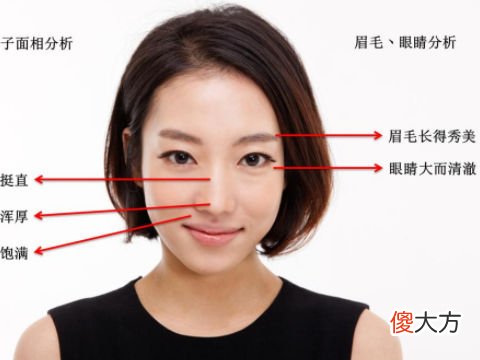 面相分析女人鼻子大代表什么