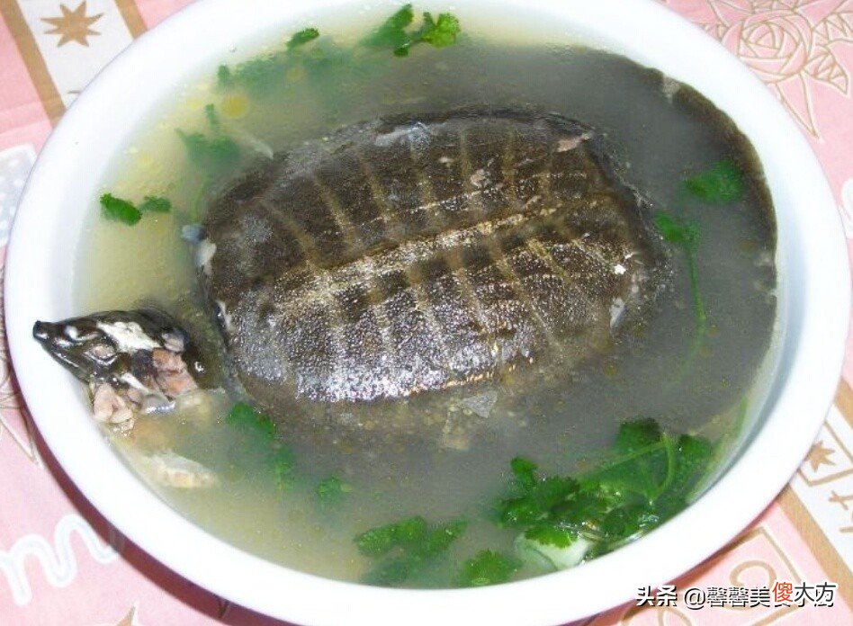 清炖甲鱼的家常做法 正宗清炖甲鱼的做法