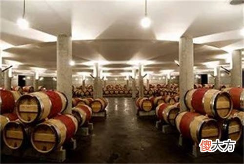 梅洛跟美乐是一样的葡萄品种吗 葡萄 酒 merlot