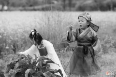 【历史故事】清代奇案：女子被父解婚约，派丫环赠金人死财失，迷案真凶藏诗中