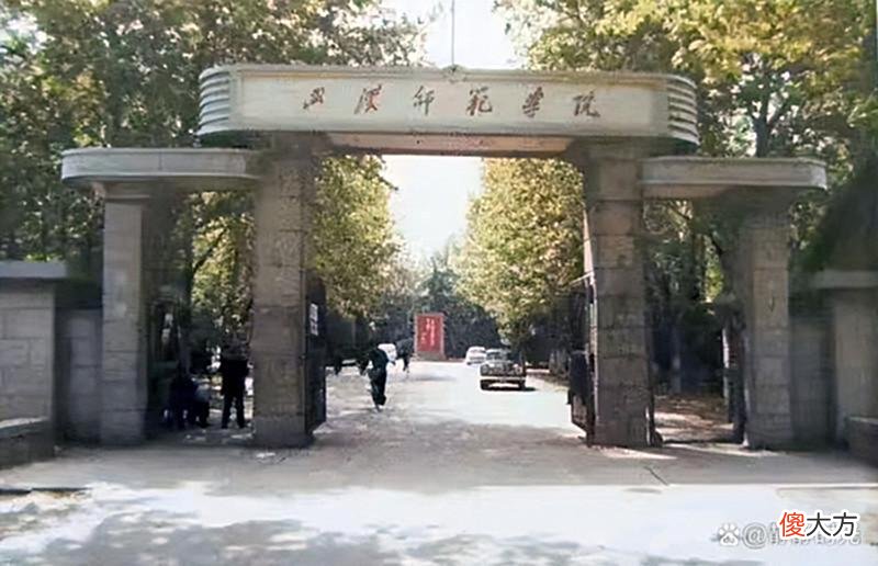 【爱历史】80年代武汉老照片：武钢食堂，交通路市场，武汉师范学院，汉正街
