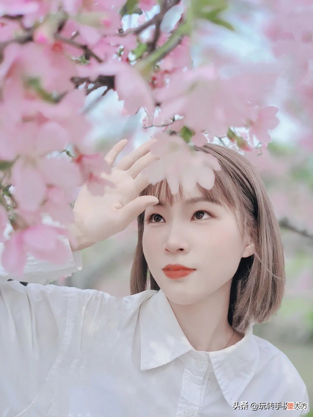 樱花人像拍照指南 樱花人像怎么拍
