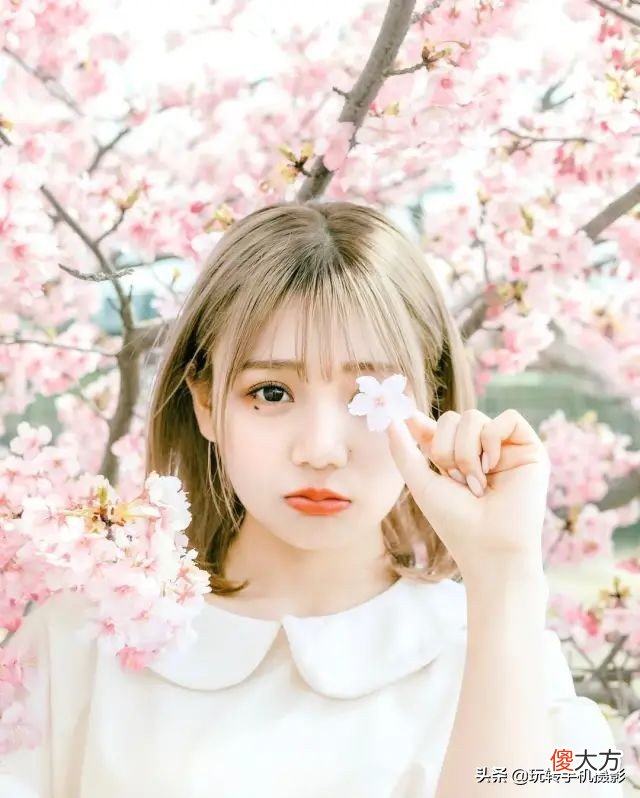 樱花人像拍照指南 樱花人像怎么拍