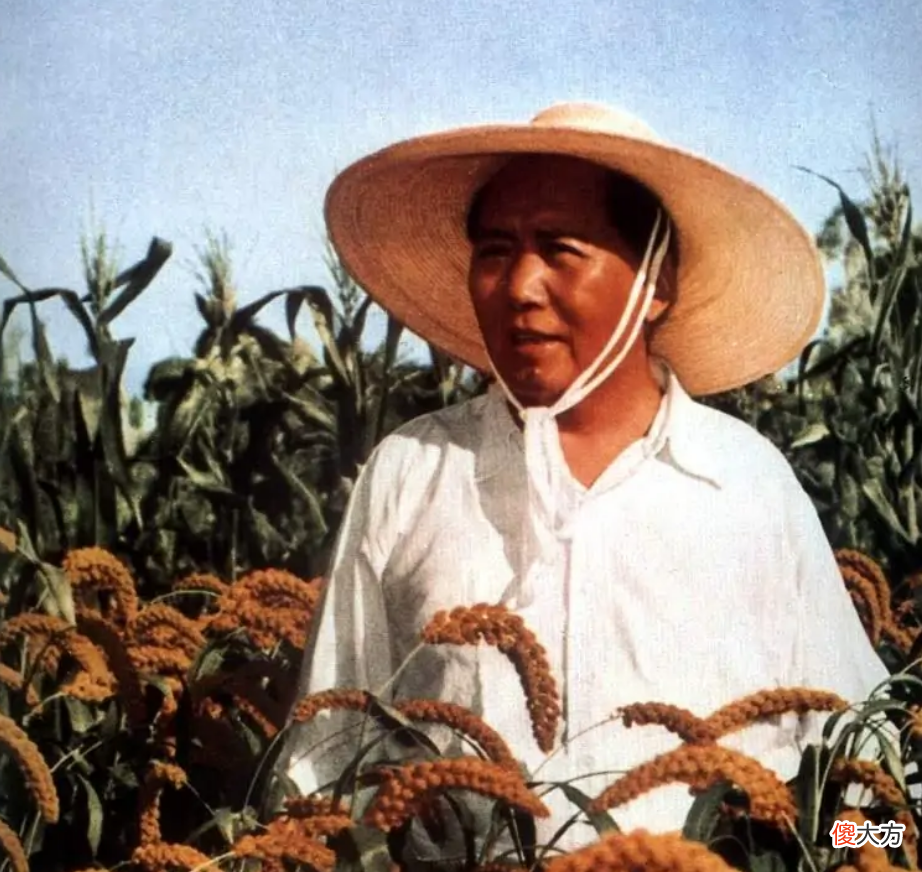 【历史故事】主席发妻其实是罗一秀，虽从未被承认，建国后主席却为她破例
