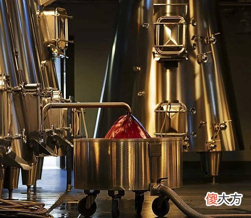 酸度清脆的约瑟夫杜鲁安马孔村白葡萄酒