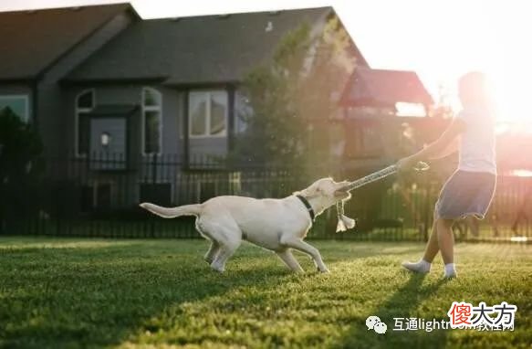 儿童摄影，怎么捕捉孩子真实的个性？