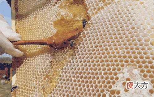 过期的蜂蜜还能干什么 过期的蜂蜜能干啥