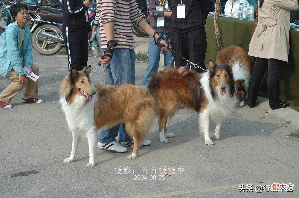 2004年是沈阳最辉煌的一年 沈阳辉煌时期