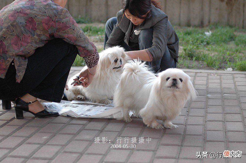 2004年是沈阳最辉煌的一年 沈阳辉煌时期