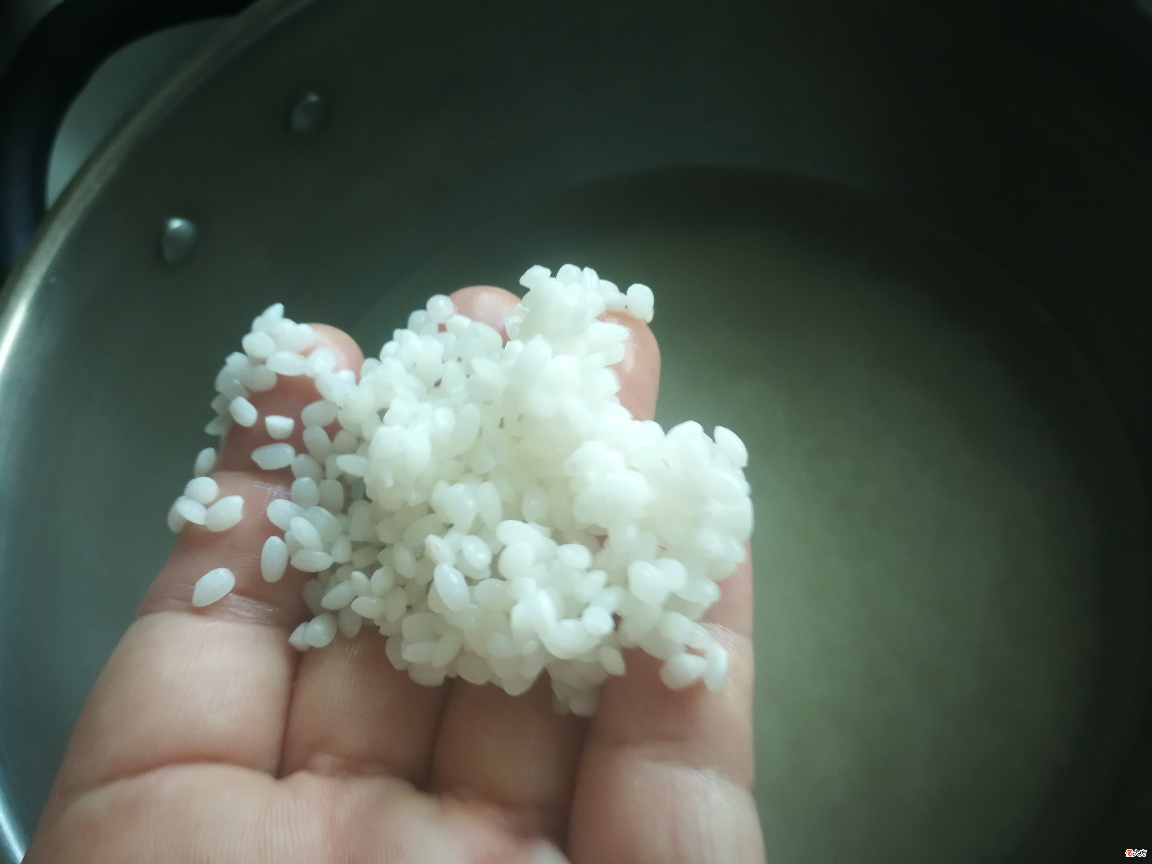 美食作家手把手教你做出香甜好吃的酒酿 酒酿可以做什么美食呢