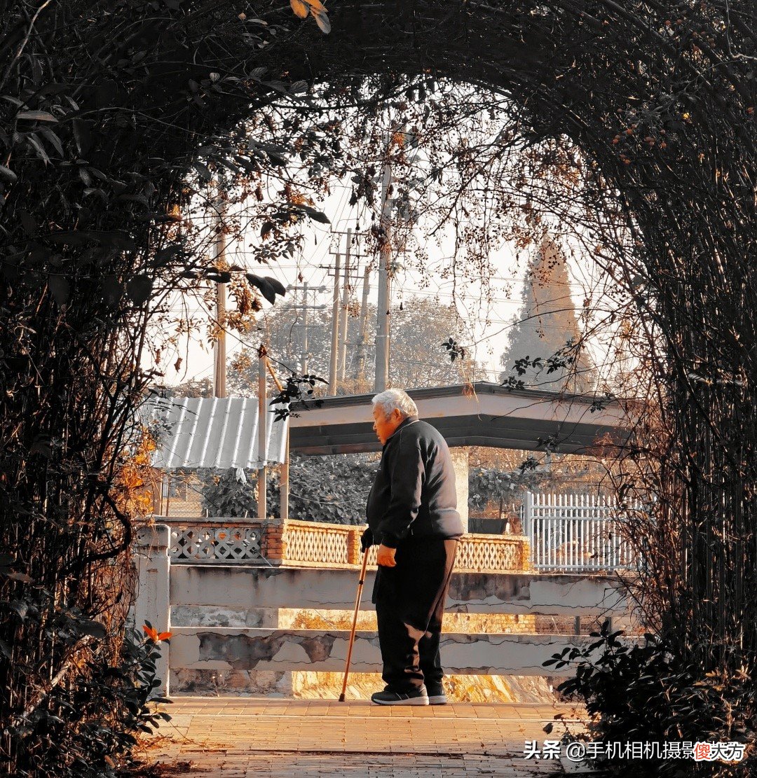 17组普通人拍出来的好照片 很多普通人相片