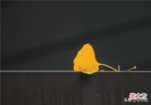 让照片更精彩 让照片更好看