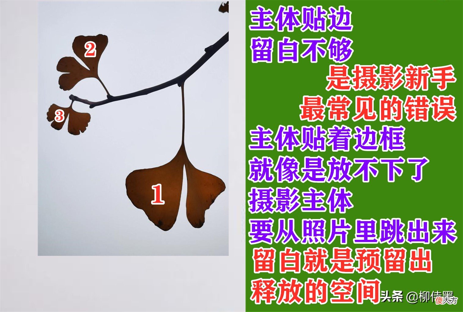 让照片更精彩 让照片更好看