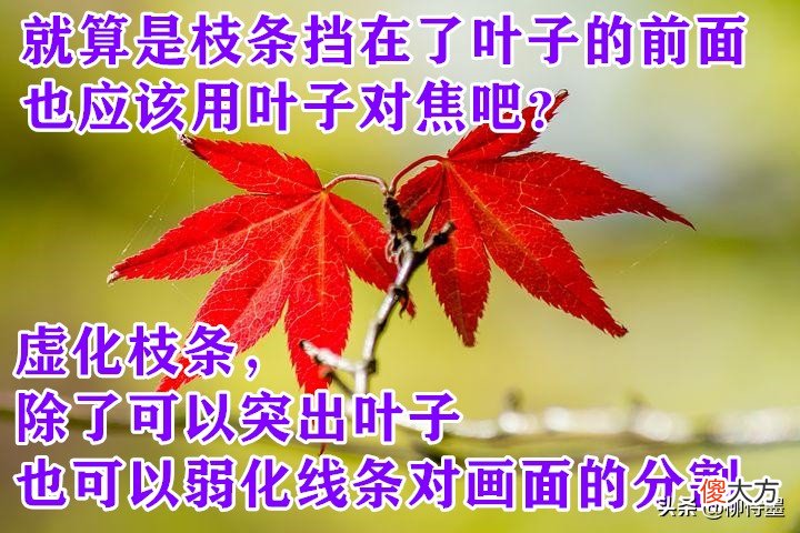 让照片更精彩 让照片更好看