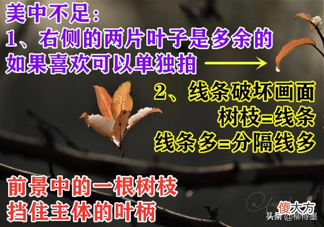 让照片更精彩 让照片更好看