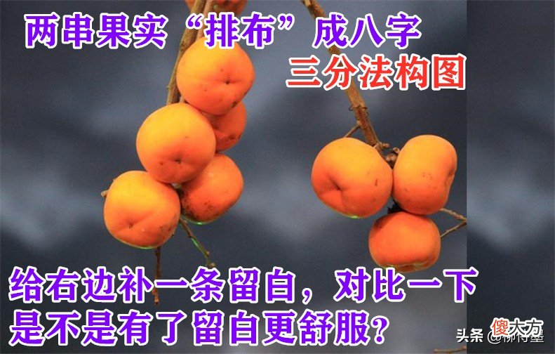 让照片更精彩 让照片更好看