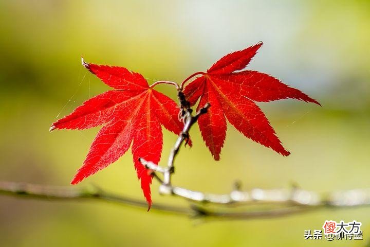 让照片更精彩 让照片更好看