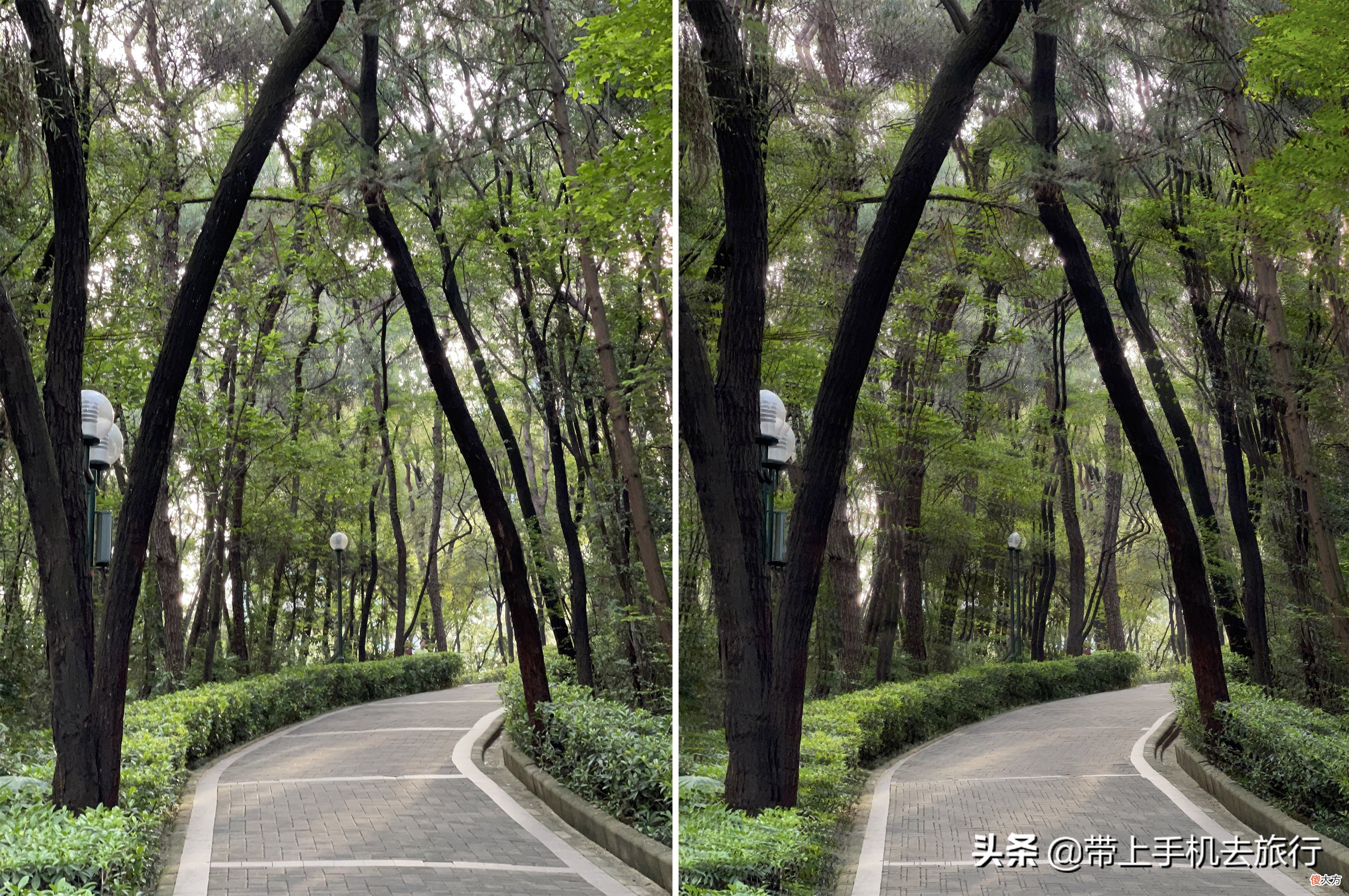 照片拍出高级感并不难 拍出高级感的照片