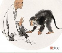 【星座控】做人心肠不坏，福报源源不断的生肖，遇到困难总有人撑腰