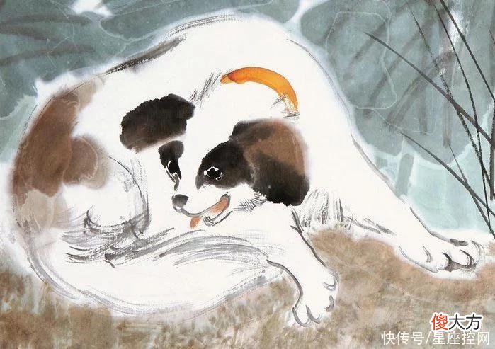 【星座控】做人心肠不坏，福报源源不断的生肖，遇到困难总有人撑腰