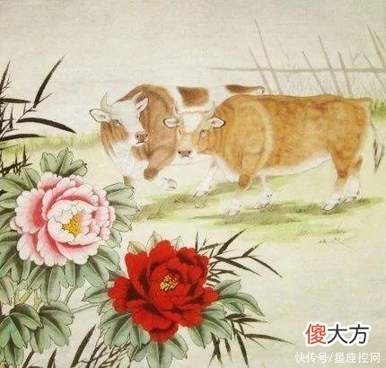 【星座控】做人心肠不坏，福报源源不断的生肖，遇到困难总有人撑腰