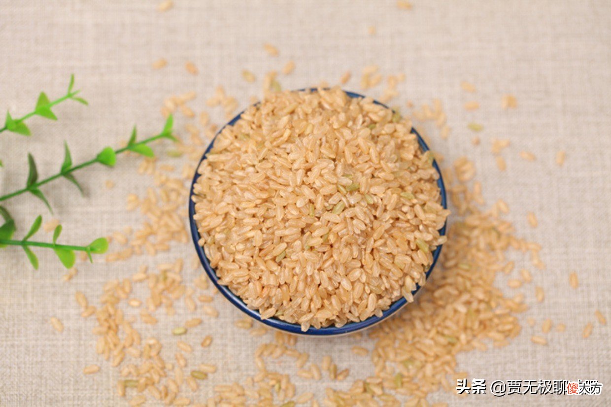 是选择吃白米饭好 只吃白米饭会怎么样