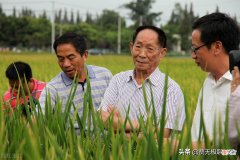 是选择吃白米饭好 只吃白米饭会怎么样