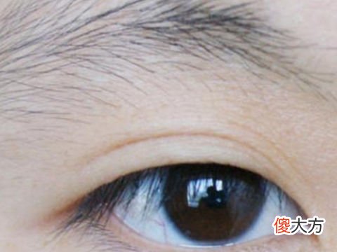 眉毛稀少面相好不好