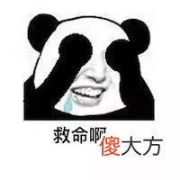 猫咪一天摄入多少热量才合理 猫咪一天需要多少热量