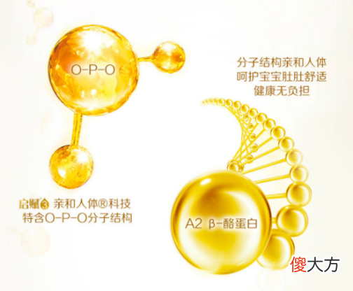 OPO"的配方奶粉长什么样 配方奶粉里面的opo是什么