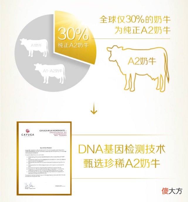 OPO"的配方奶粉长什么样 配方奶粉里面的opo是什么