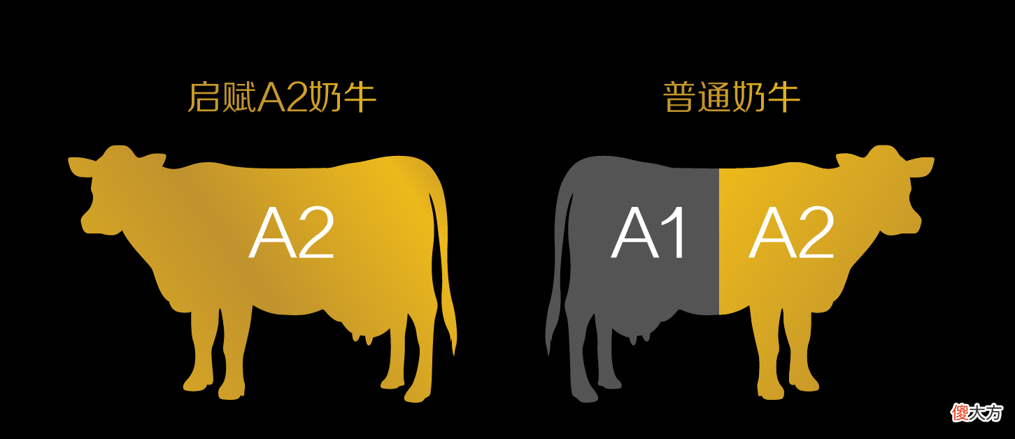 OPO"的配方奶粉长什么样 配方奶粉里面的opo是什么