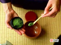 精彩的芥末世界 我的世界,芥末