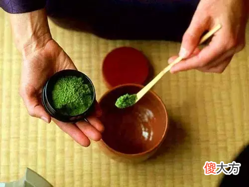 精彩的芥末世界 我的世界,芥末