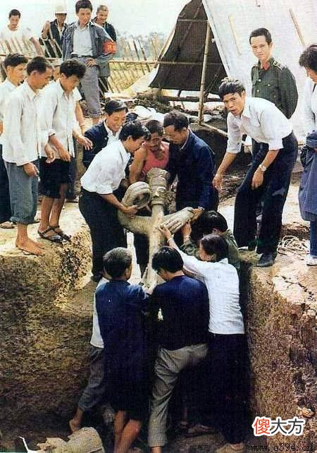 【历史故事】三星堆为什么越挖越神秘？李白曾感叹：四万八千年