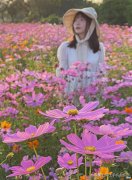 格桑花大片拍摄秘诀尽在俯与仰 如何拍摄格桑花