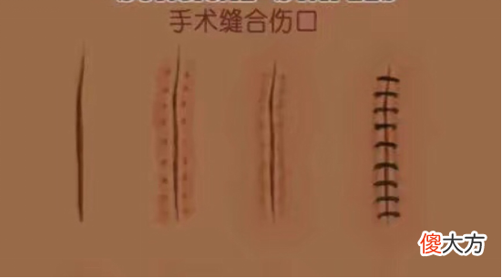 只为买苹果手机 为了买苹果手机