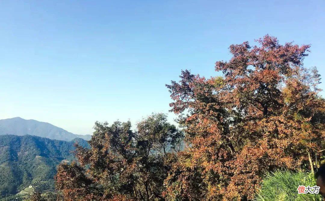 【历史故事】李白看走眼了，被他视为功比卫青的哥舒翰投降安禄山，打脸